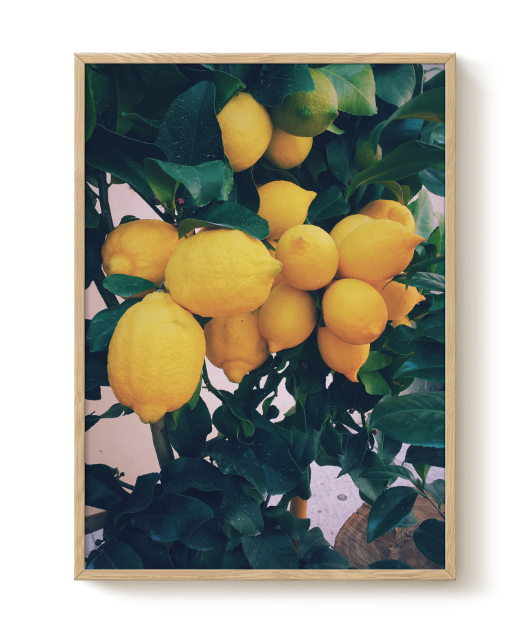 Lemon Tree plakat