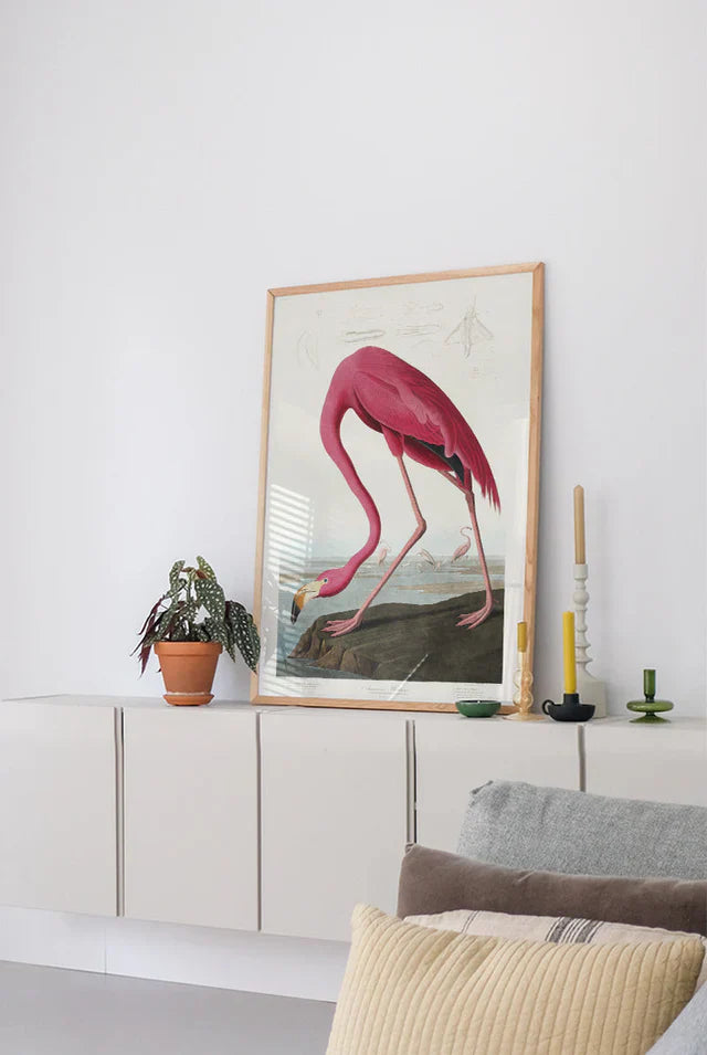 Pink flamingo plakat