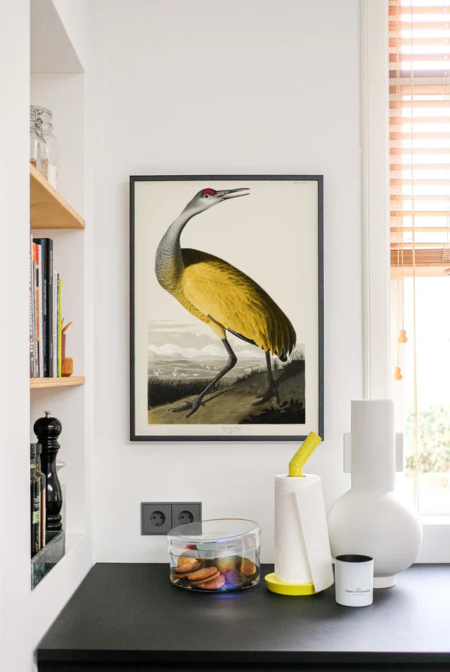 Birds of America - Plakat med gul fugl